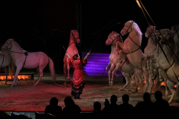 Krone2011   081.jpg